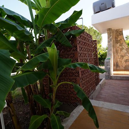 Villetta Mare "Gelsomino Bianco" فونتاني بيانكي المظهر الخارجي الصورة